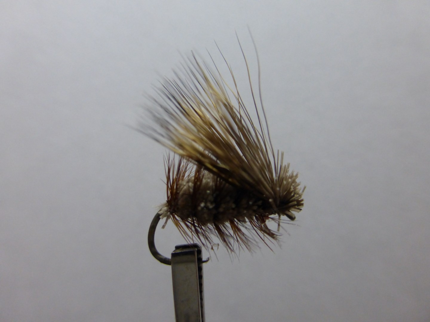 Size 12  Caddis Irresistible  Barbless